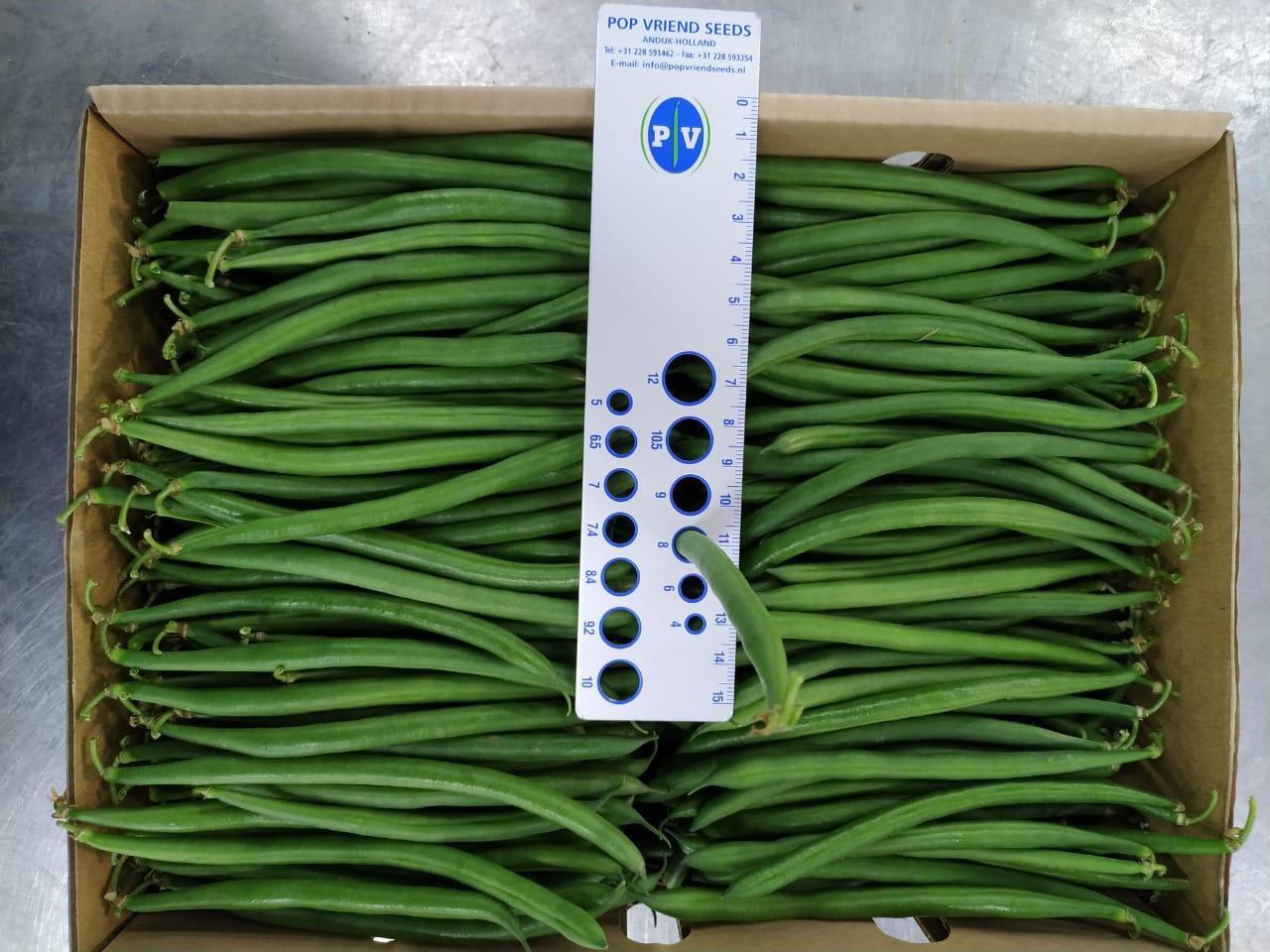 Green Beans